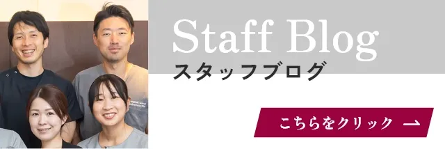 Staff Blog スタッフブログ